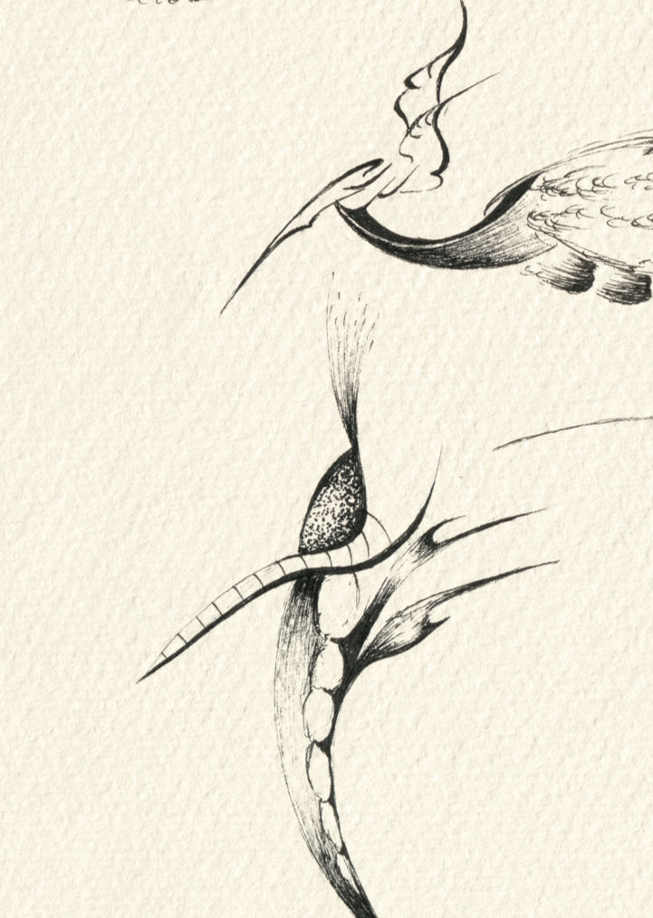 Creatures drawing- number 11