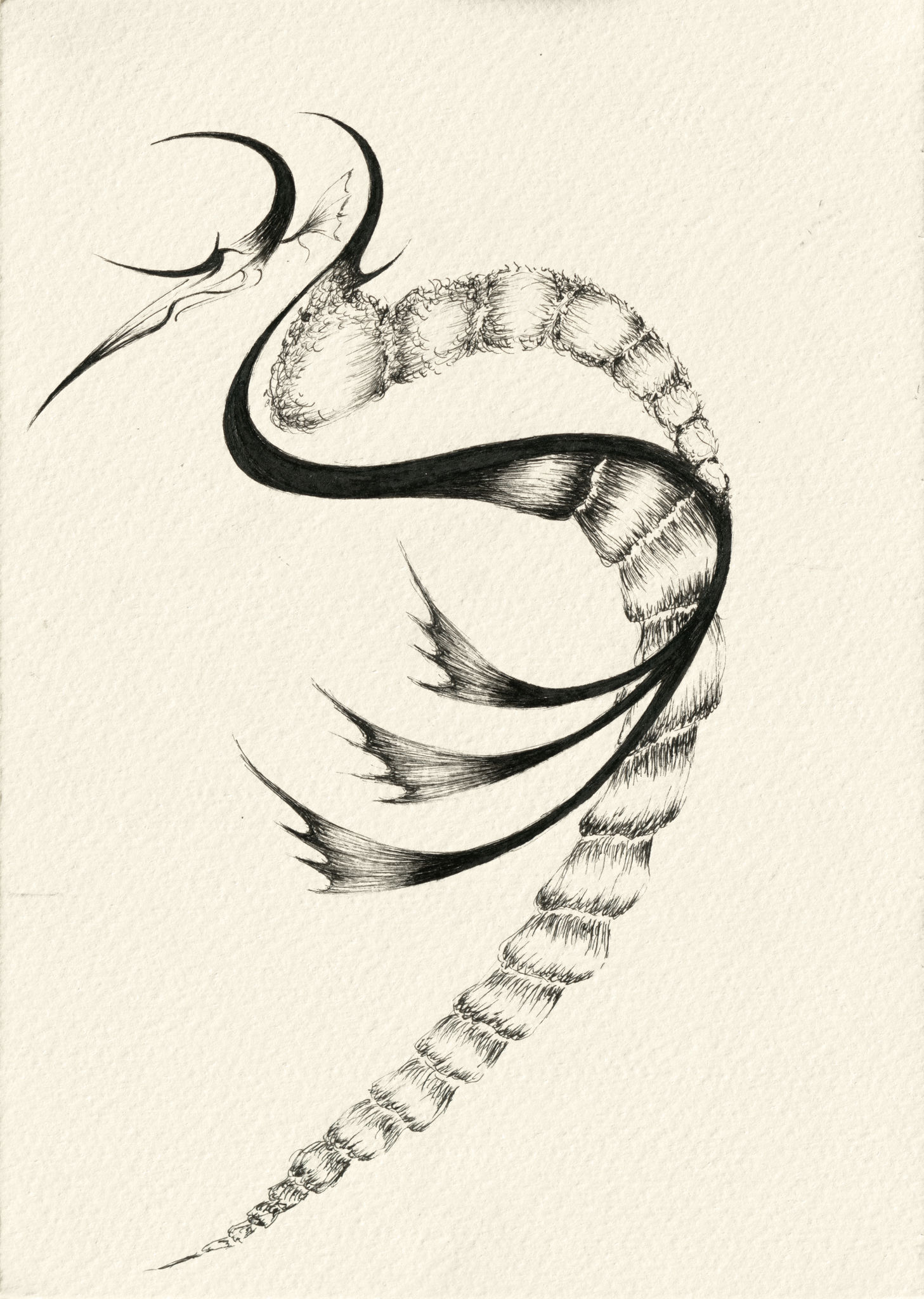 Creature drawing- number 25