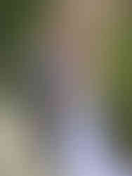 Newlyweds at The Lace Factory