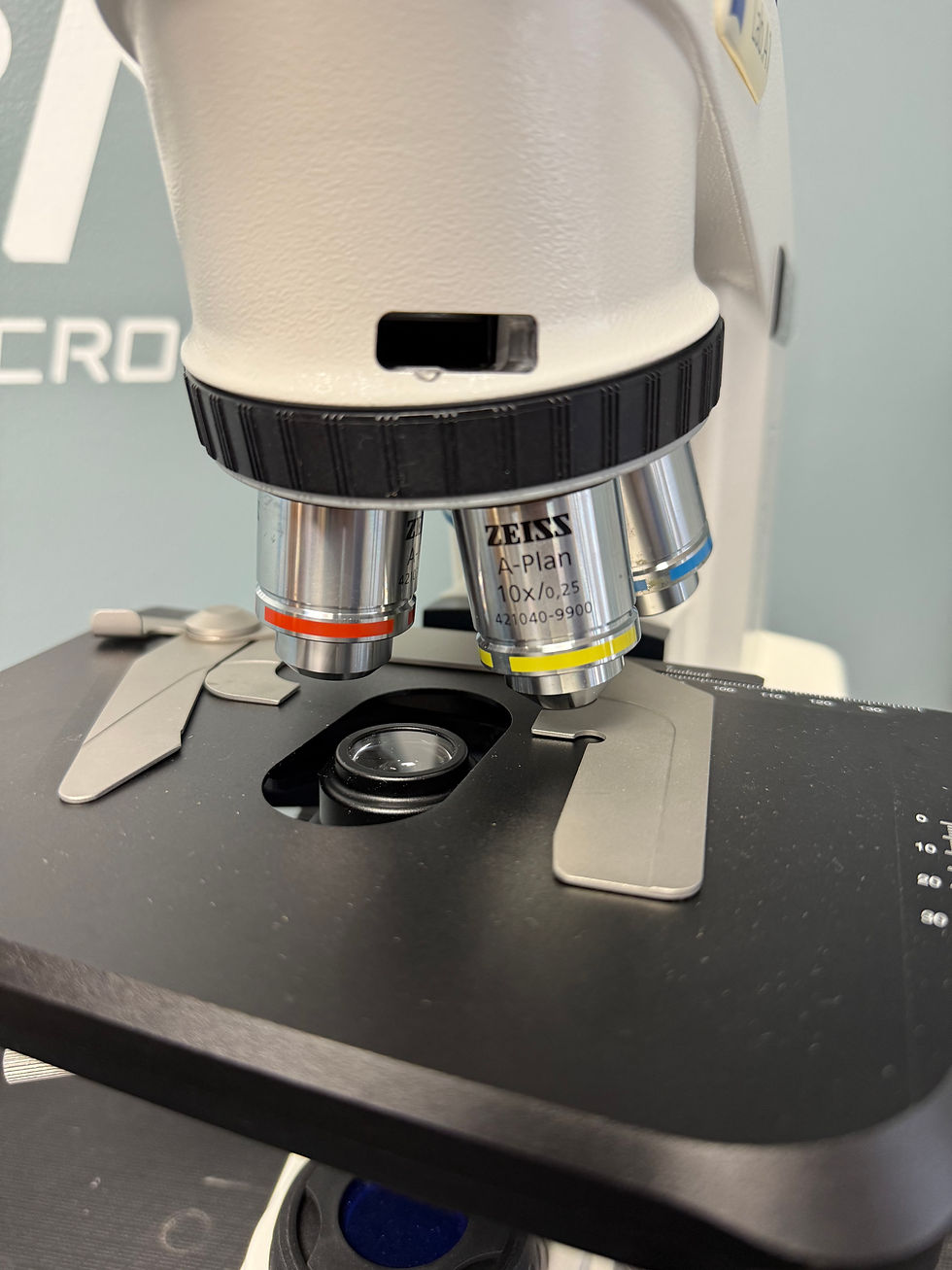 Thumbnail: Zeiss Axio Lab A1