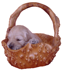puppybasket_page.gif
