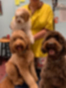 3 generations.jpeg