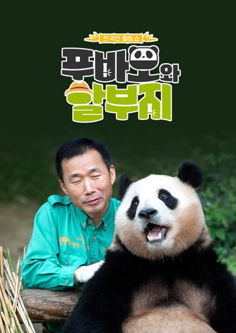 푸바오와 할부지, 푸바오, 강바오, panda, sbs 예능, 동물농장, sbs animal farm