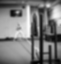Ron Pharr Body by Pharr Cincinnati Personal Trainer