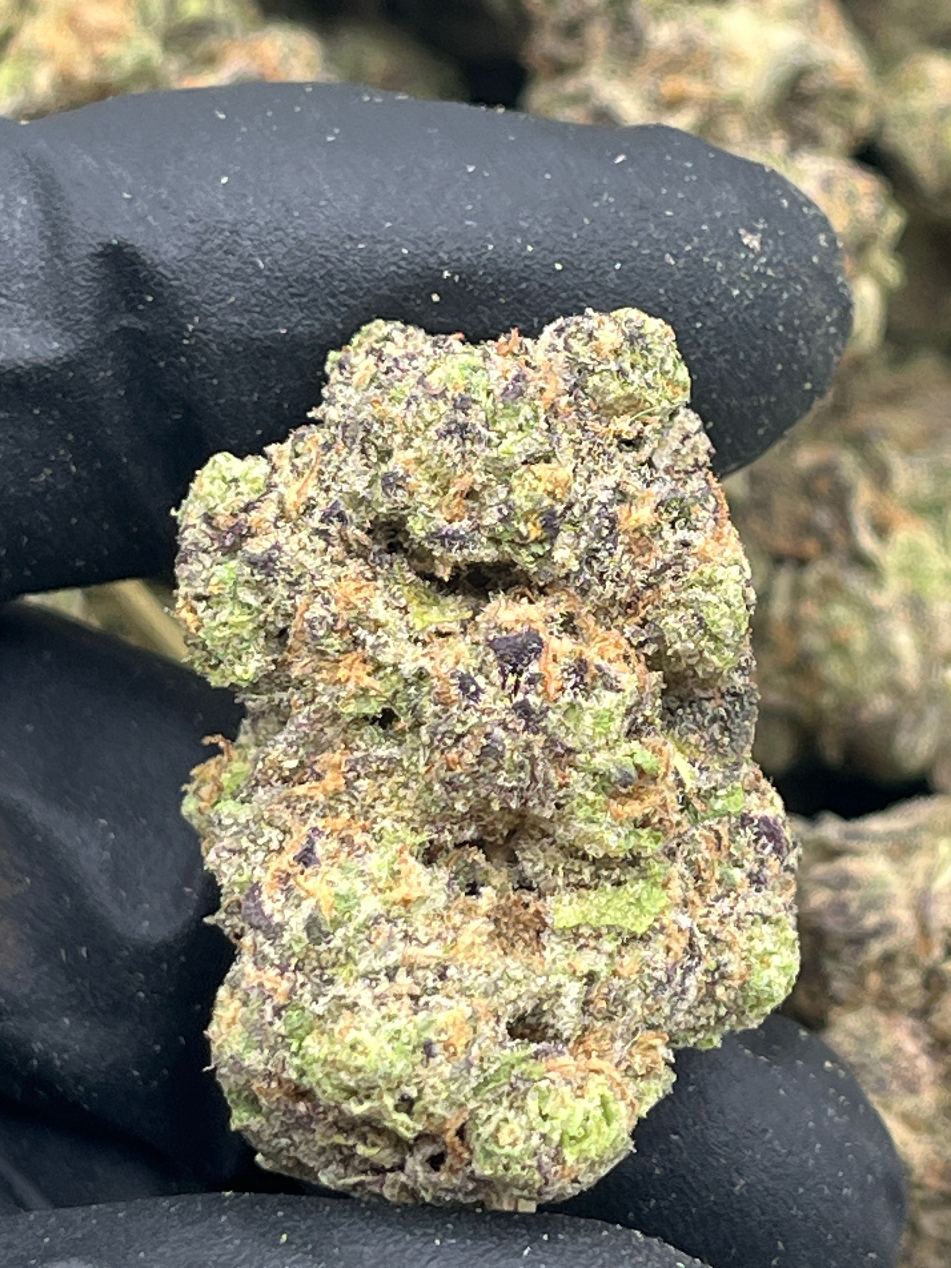 Thin Mintz - 33.77% - Hybrid