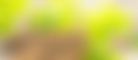 Thank You to Our Clients!