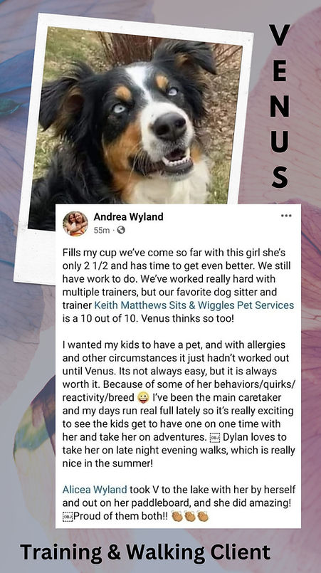 400058095_377567204621186_1318712269962533549_n (1).jpg