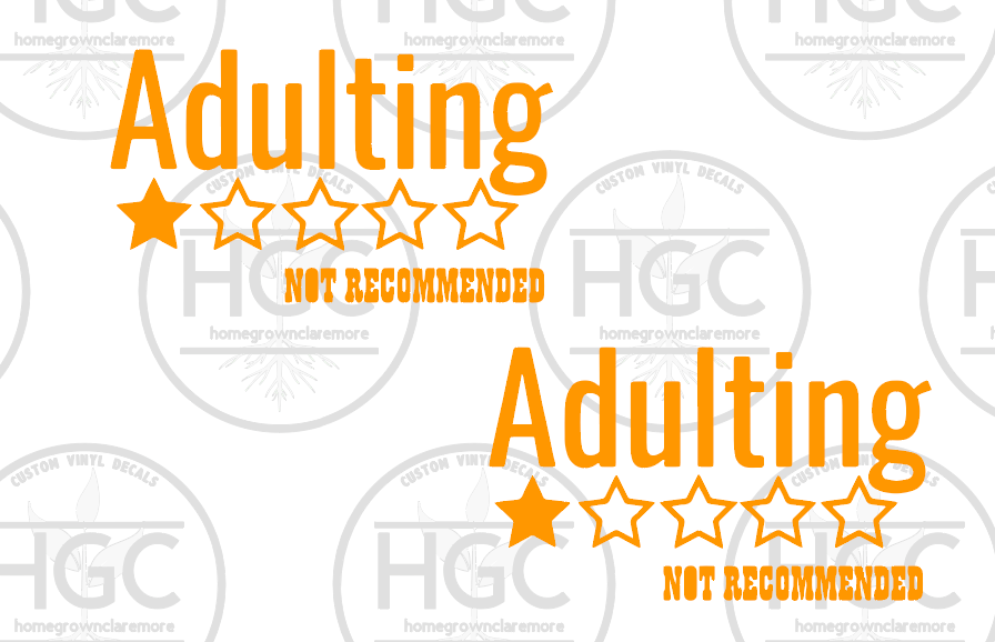 Thumbnail: 2 Pack -  Adulting - Not Recommended