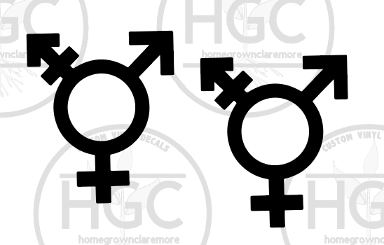 Thumbnail: 2 Pack -  Transgender Symbol
