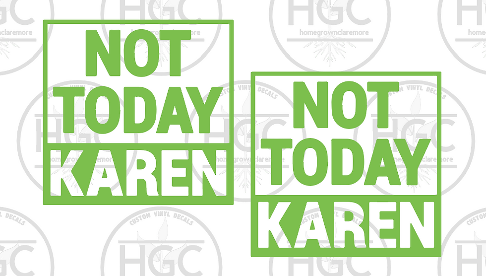 Thumbnail: 2 Pack -  Not Today Karen