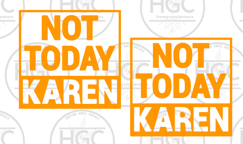 Thumbnail: 2 Pack -  Not Today Karen