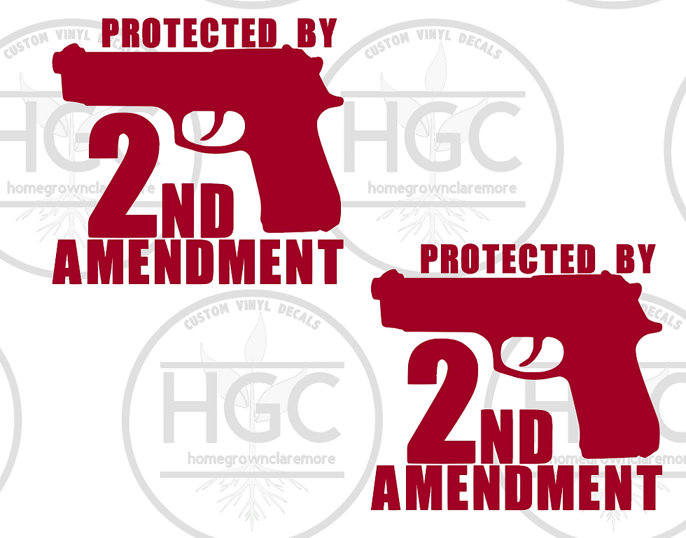 Thumbnail: 2 Pack - Proteced by 2nd Amendment