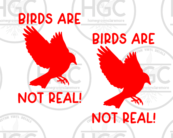 Thumbnail: 2 Pack -  Birds Are Not Real