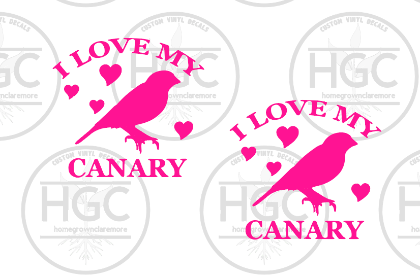 Thumbnail: 2 Pack -  Love My Canary