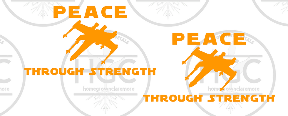 Thumbnail: 2 Pack - Peace Through Strength X Wing Fighter