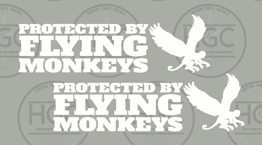 Thumbnail: 2 Pack -  Protected by Flying Monkeys