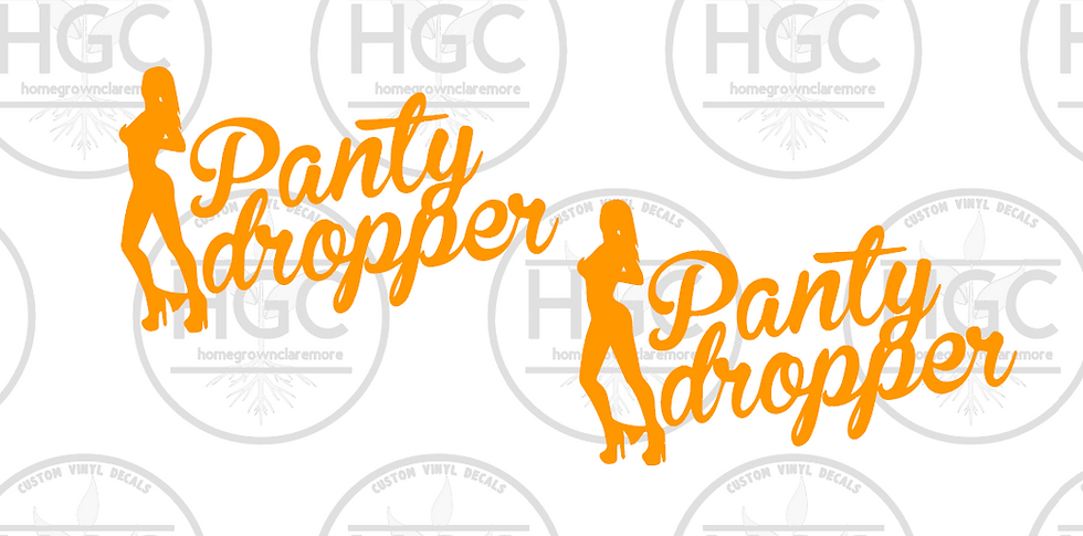 Thumbnail: 2 Pack -  Panty Dropper