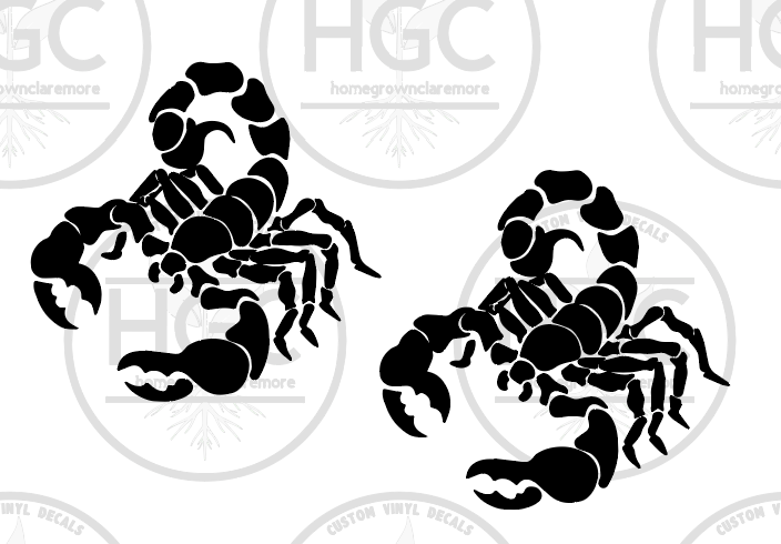 Thumbnail: 2 Pack -  Scorpion