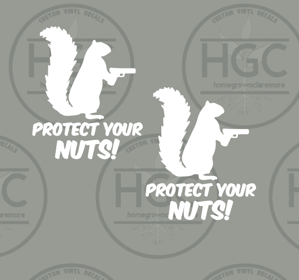 Thumbnail: 2 Pack -  Protect Your Nuts 2nd Amendment