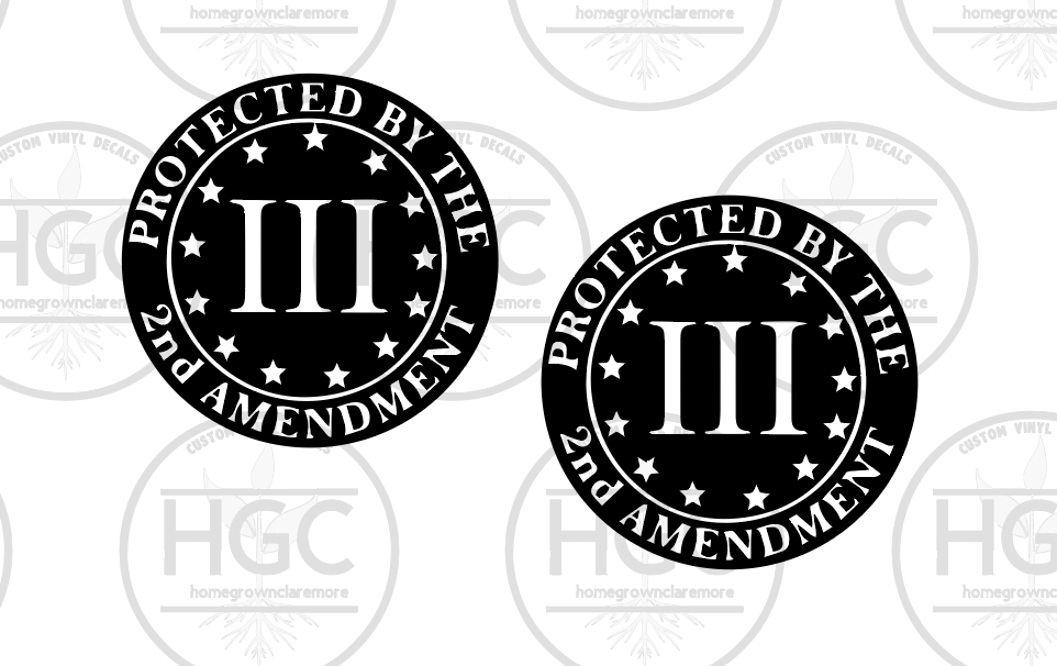 Thumbnail: 2 Pack -  Protected by The 2nd Amendment