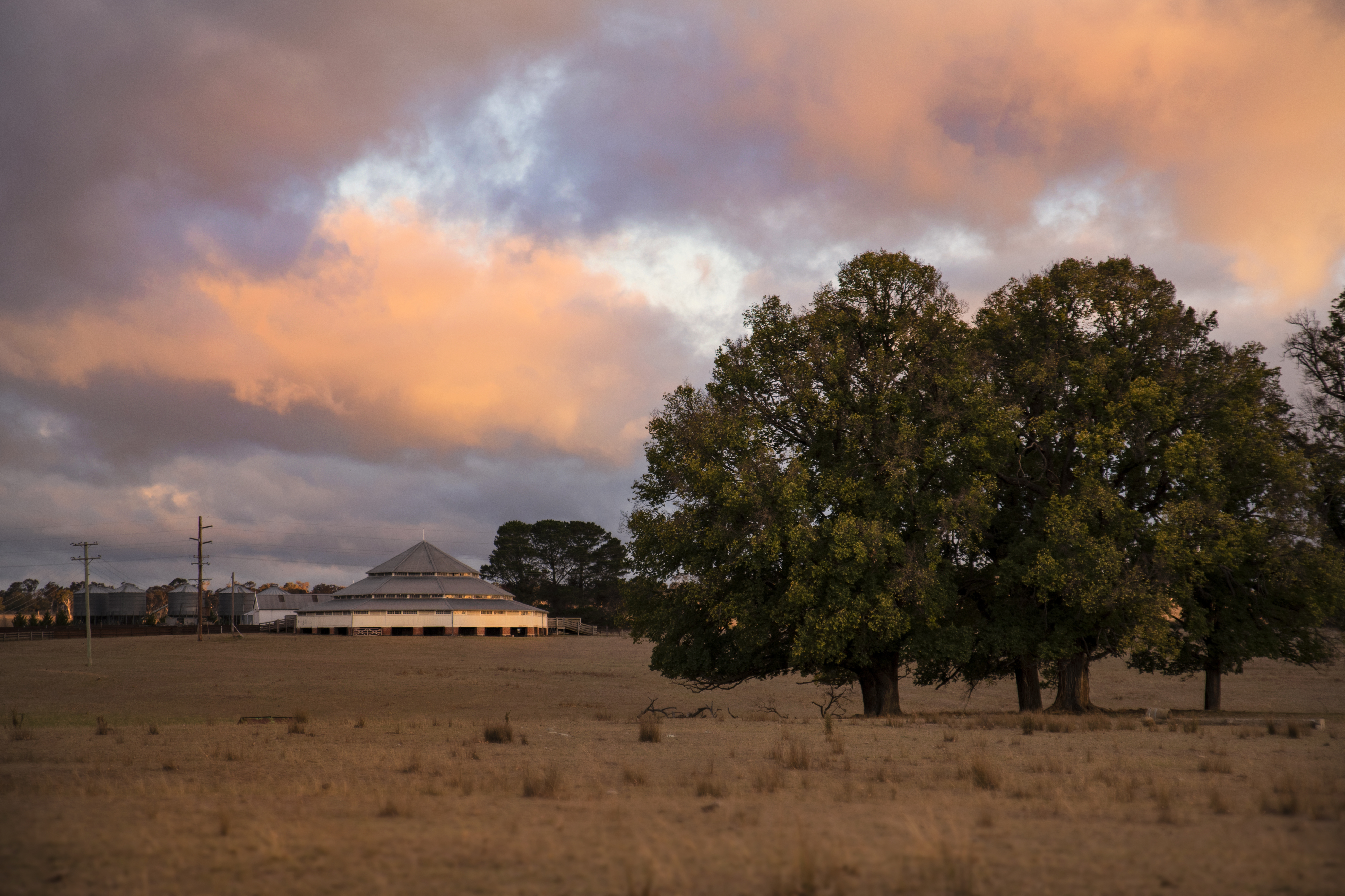 Brayden Vickery Photographer Tingha