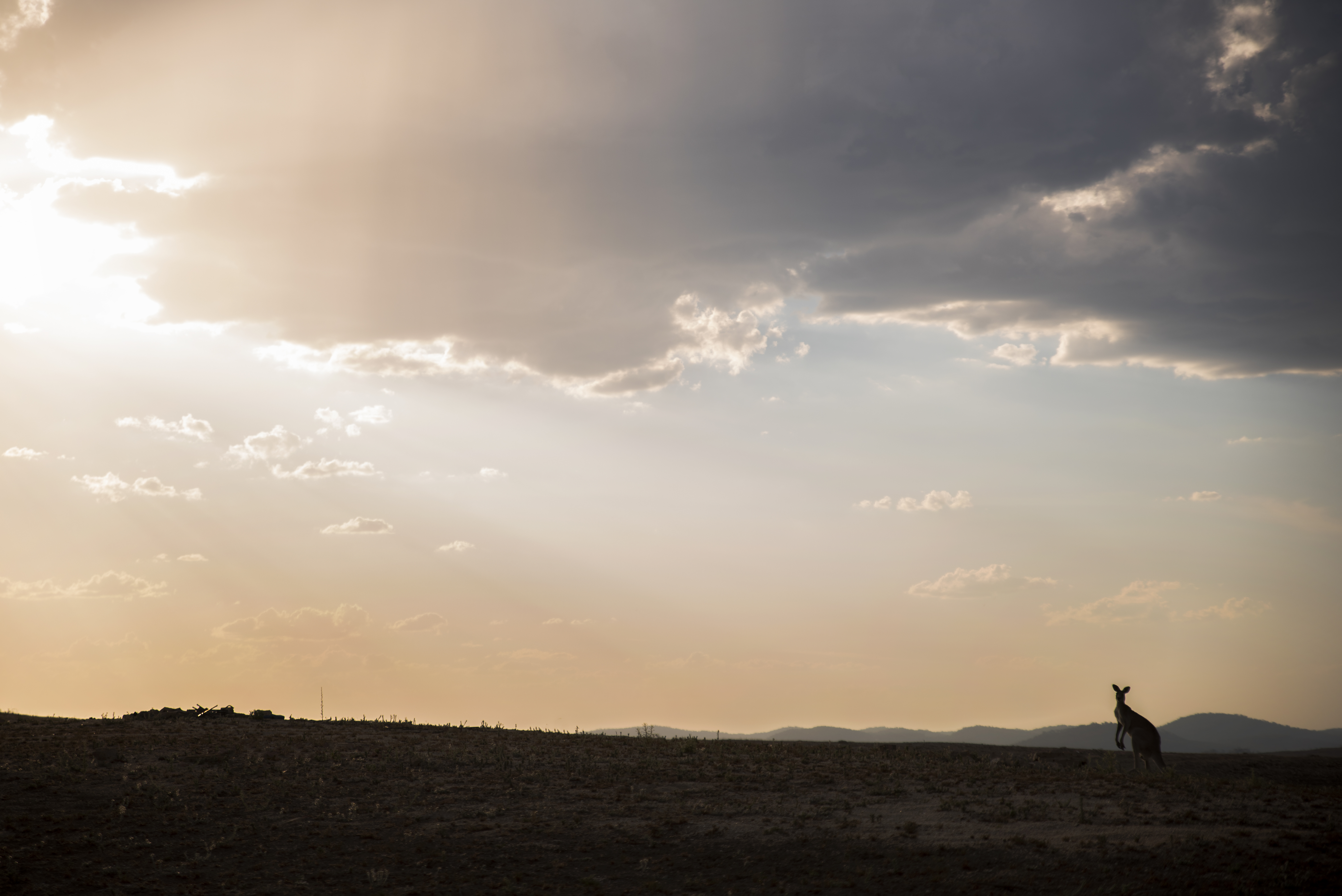 Brayden Vickery Photographer Tingha