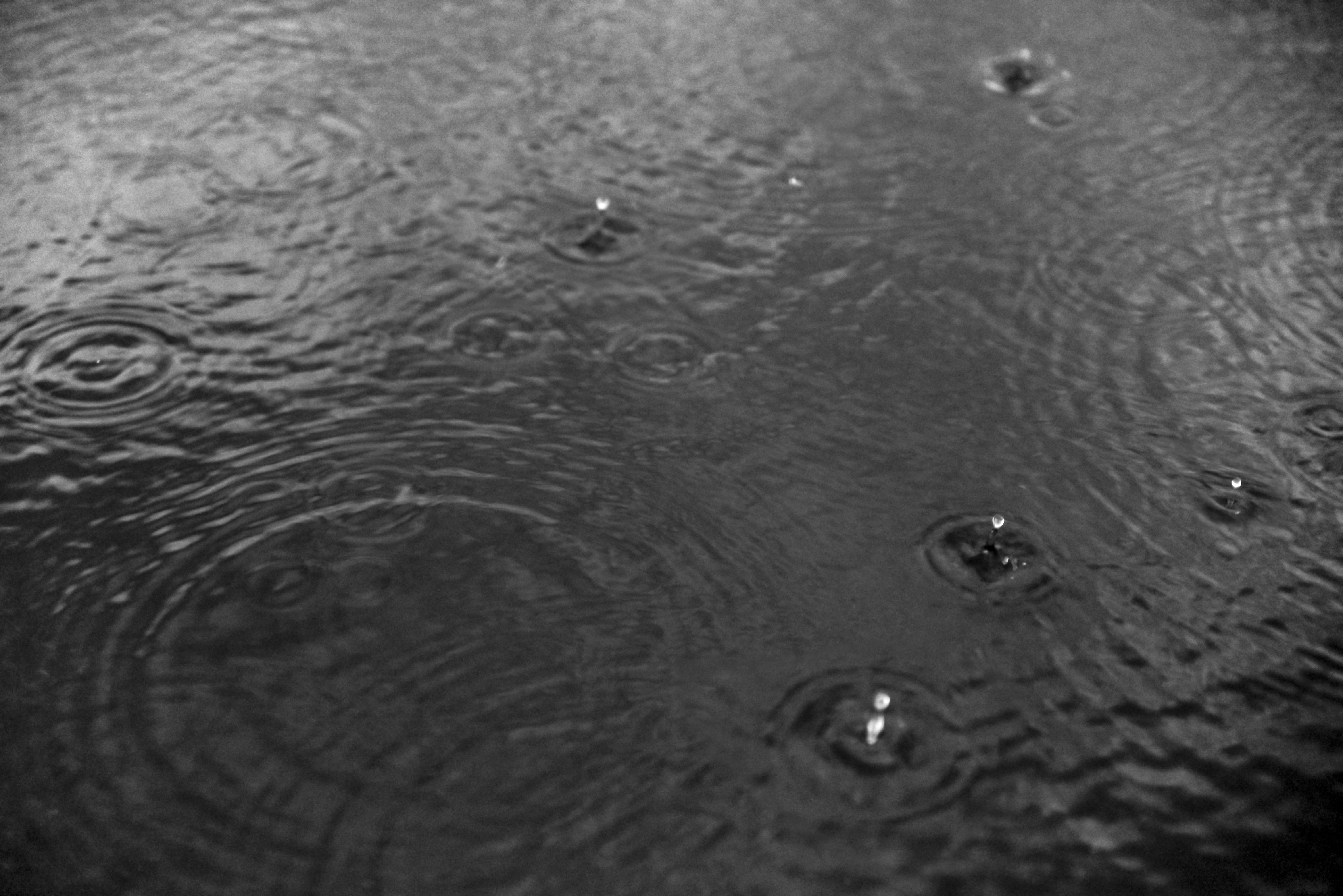 Brayden Vickery Photographer Tingha