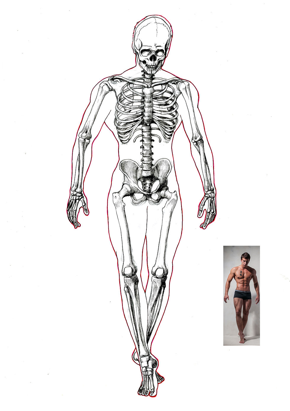leg muscle study_02_ZIN ZIN PHYO.jpg