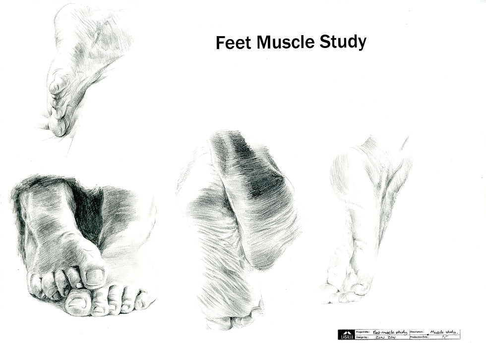 leg muscle study_05_ZIN ZIN PHYO.jpg