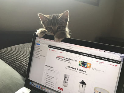 擁有人工智能的速遞員