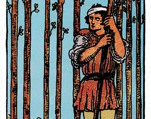 Nine of Wands