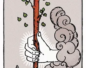 Ace of Wands