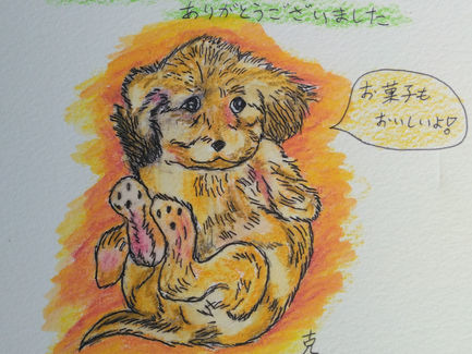 後悔したくないので