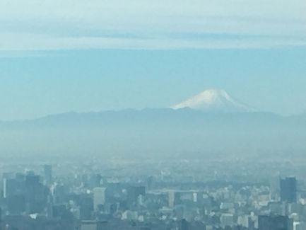 今日は親孝行として