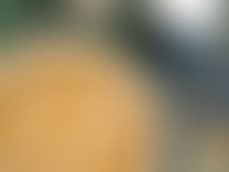 Baba Ganousch super onctueux