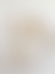 Sapins de Noël à la noix de coco