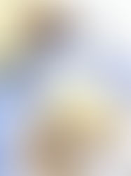 Carrot cake, en version économique et facile