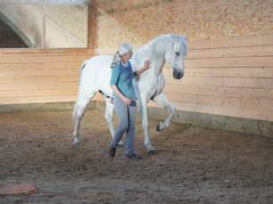 Building and Balancing A Trust Account