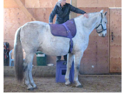 ‘U’ and Riding