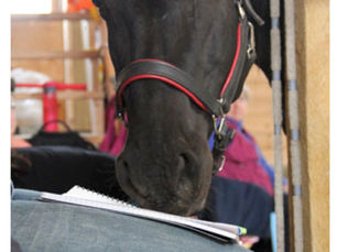 Catching Up With The Pony Fairy