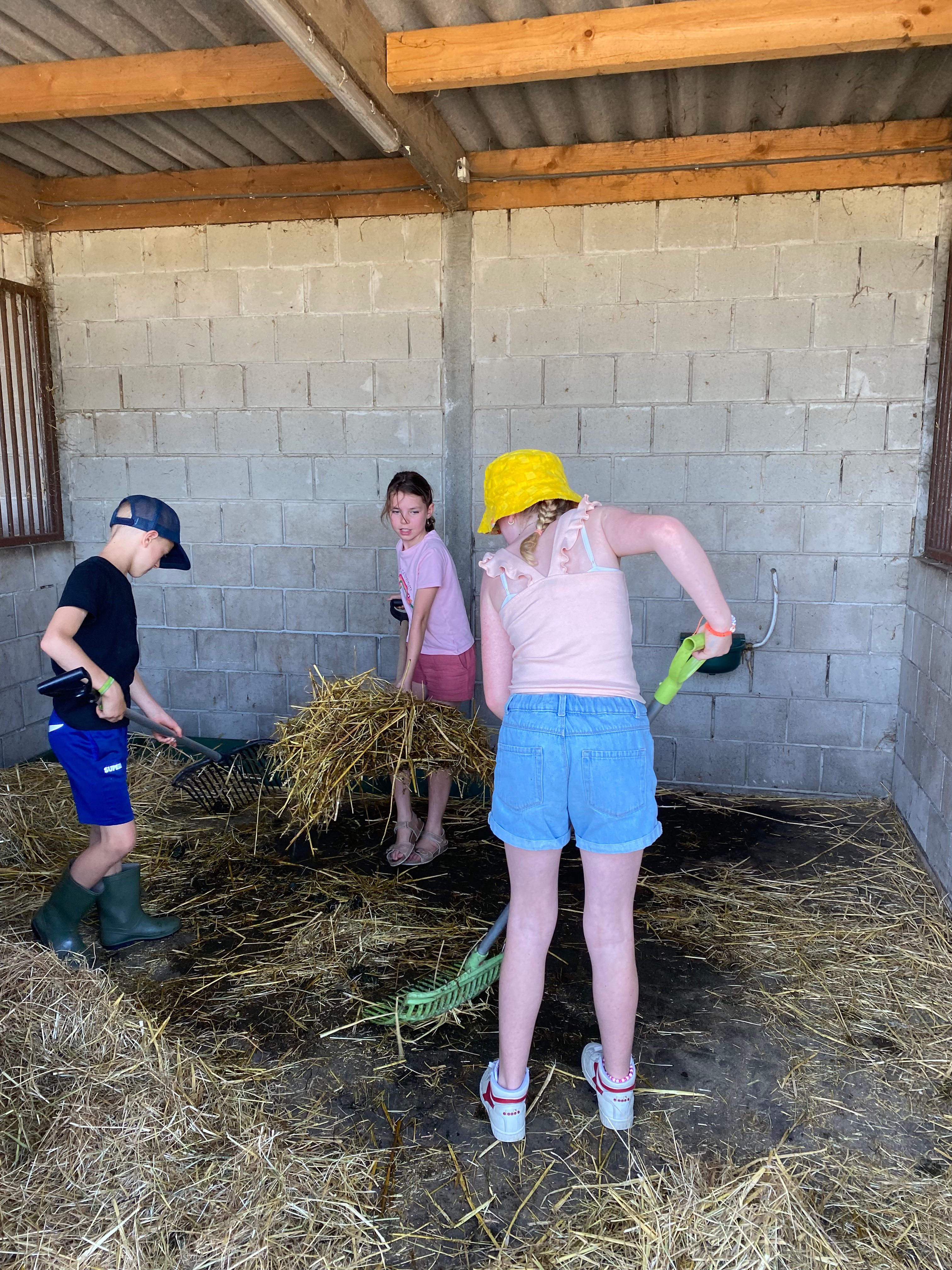 4 juli 2026 Helpen Op De Boerderij