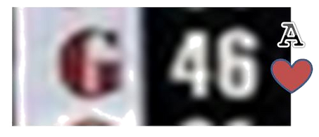 G46 Sample_edited.png