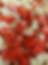 Screenshot 2024-11-23 at 8.18.24 AM.png