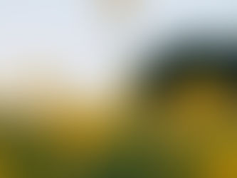 Frederick A. Nichols Sr. 1940-2021