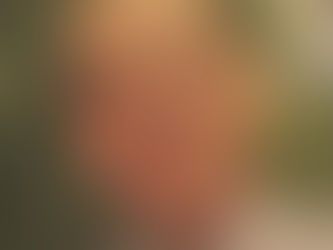 Paul Joseph Laliberte 1961-2019