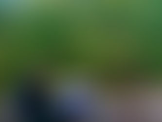 David A. Lehet 1982-2021