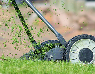 Lawn Mower Setup