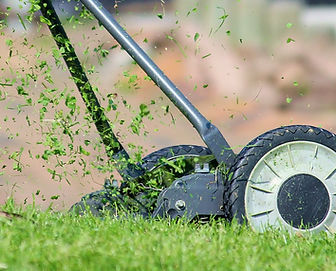 Lawn Mower Setup
