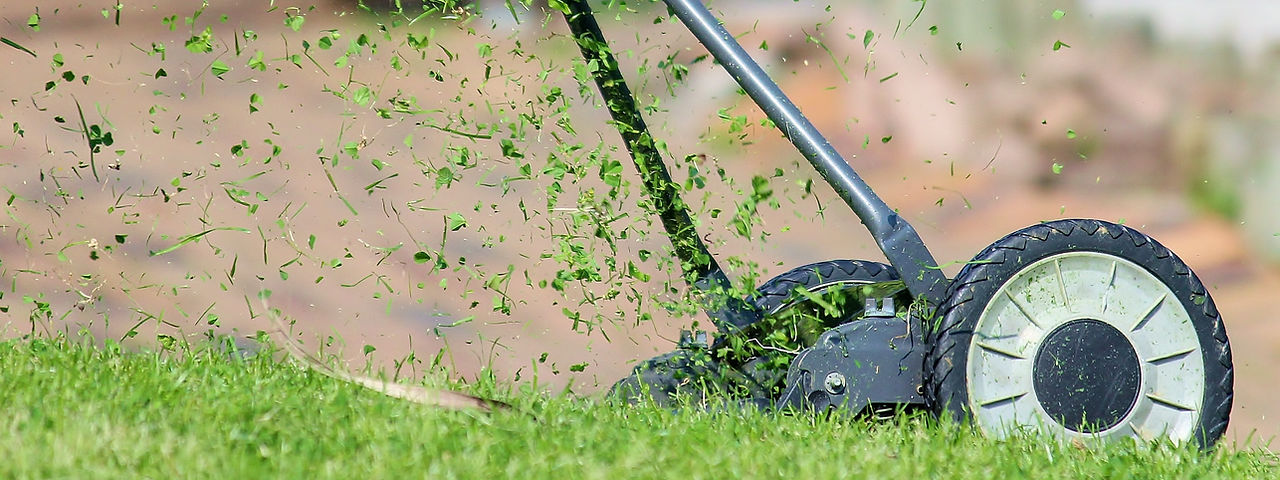 Lawn Mower Setup