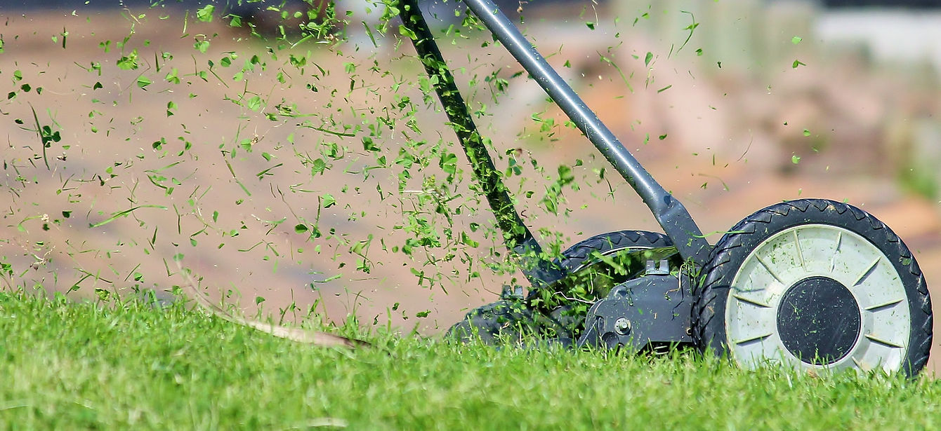 Lawn Mower Setup